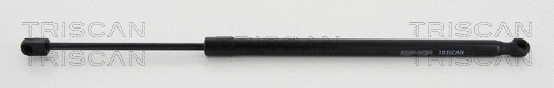 Gas Spring, boot/cargo area