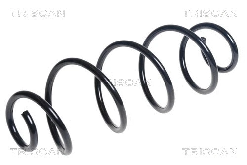 Suspension Spring (8750 28279)