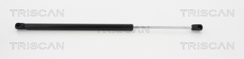 Gas Spring, rear window (8710 24245)