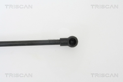 Gas Spring, boot/cargo area