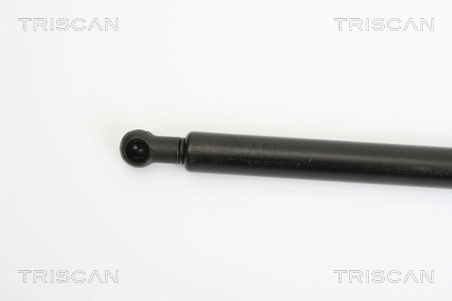 Gas Spring, boot/cargo area