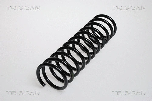 Suspension Spring (8750 2919)