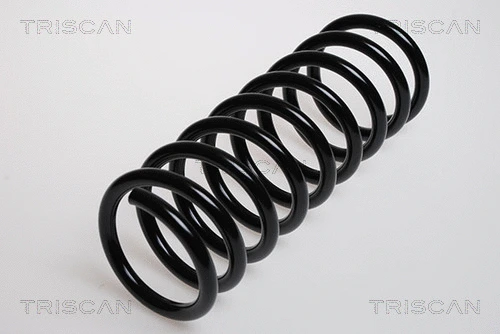Suspension Spring (8750 16187)