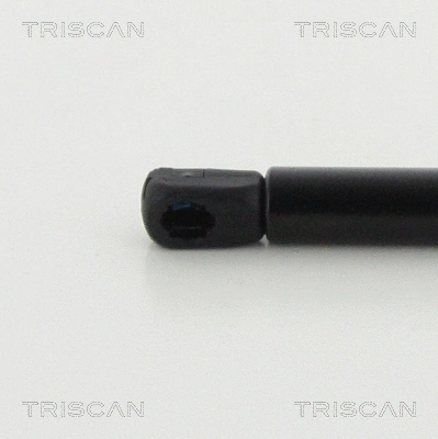 Gas Spring, boot/cargo area