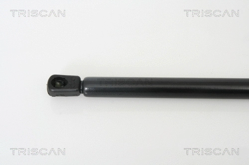 Gas Spring, boot/cargo area