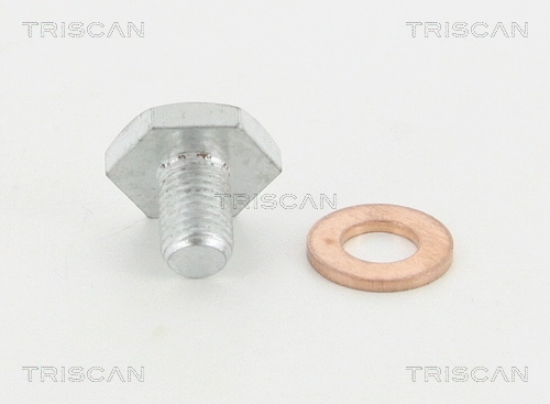 Screw Plug, oil sump (95-0971)