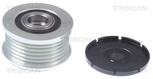 Alternator Freewheel Clutch (8641 244015)