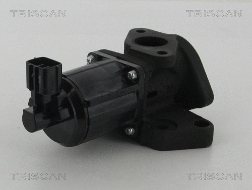 EGR Valve (8813 50007)