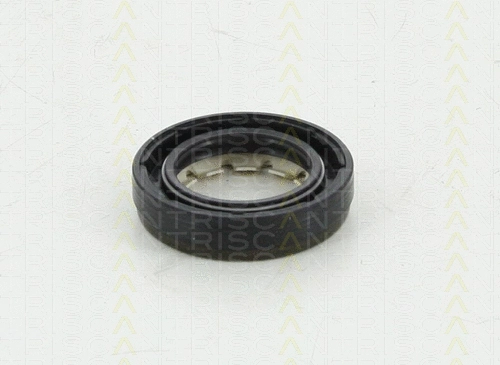 Shaft Seal, differential (8550 10043)