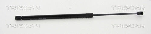 Gas Spring, boot/cargo area