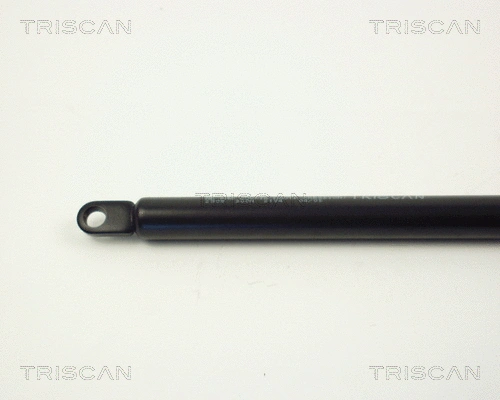 Gas Spring, boot/cargo area