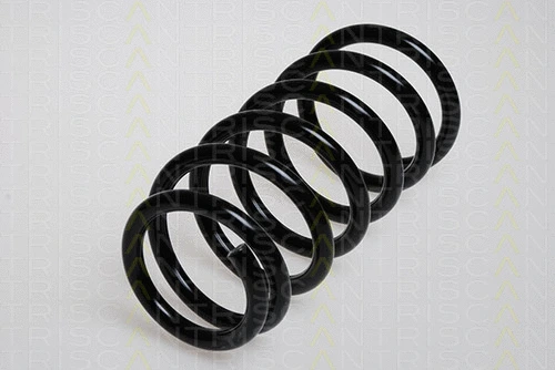 Suspension Spring (8750 6904)