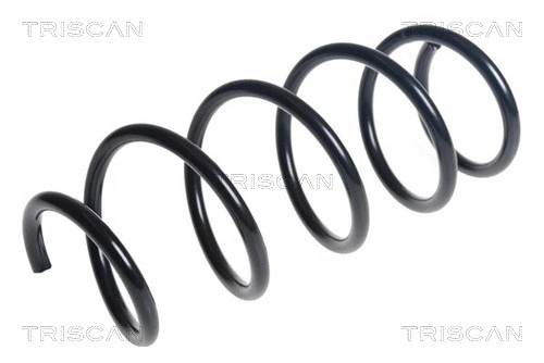 Suspension Spring (8750 16160)