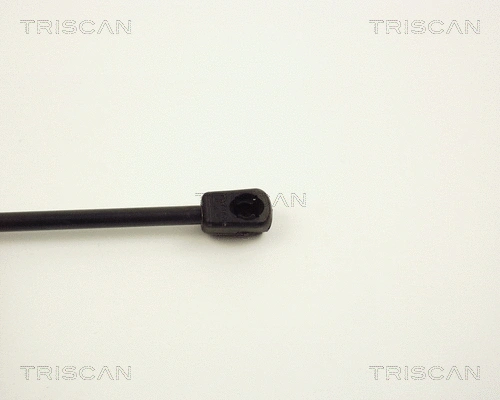 Gas Spring, boot/cargo area