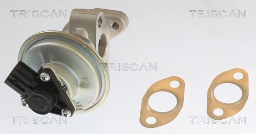 EGR Valve (8813 10054)