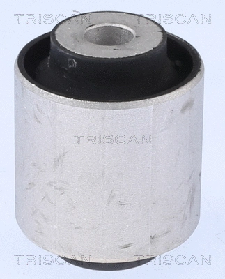 Mounting, control/trailing arm (8500 118024)