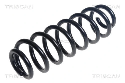 Suspension Spring (8750 29524)