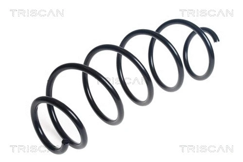 Suspension Spring (8750 28296)
