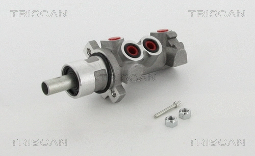 Brake Master Cylinder (8130 16161)