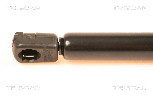 Gas Spring, boot/cargo area