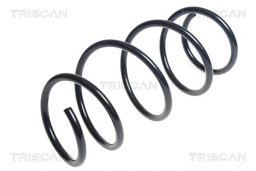 Suspension Spring (8750 13219)