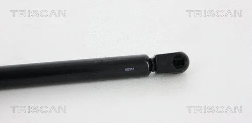 Gas Spring, boot/cargo area