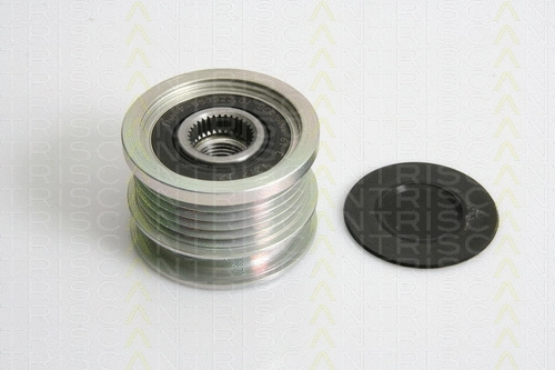 Alternator Freewheel Clutch (8641 244003)