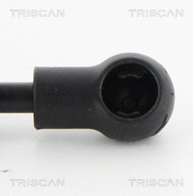 Gas Spring, boot/cargo area