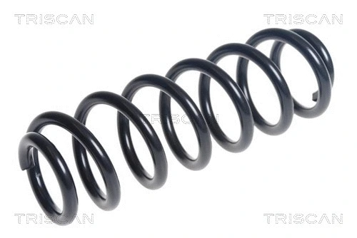 Suspension Spring (8750 29492)