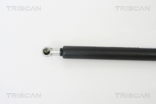 Gas Spring, boot/cargo area