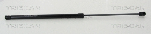 Gas Spring, boot/cargo area (8710 14255)