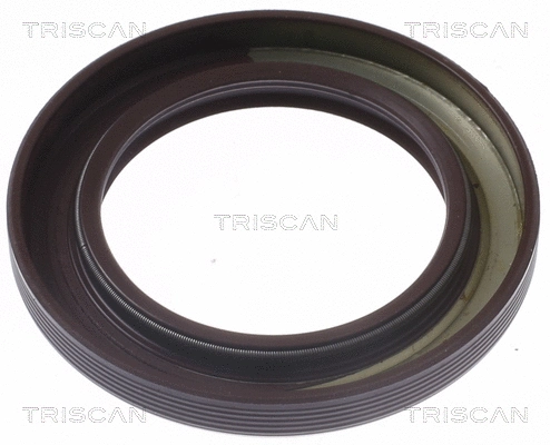 Shaft Seal, crankshaft (8550 10074)