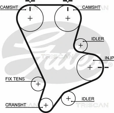 Timing Belt Kit