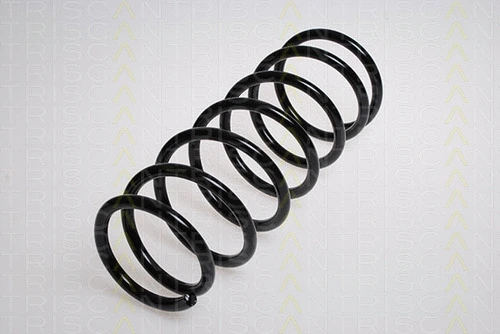 Suspension Spring (8750 2119)