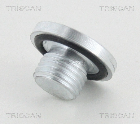 Screw Plug, oil sump (95-0966)