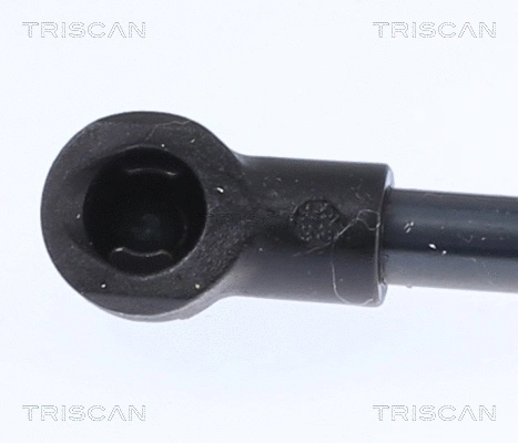 Gas Spring, boot/cargo area