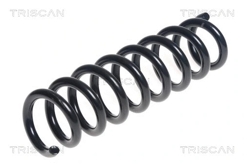 Suspension Spring (8750 11197)