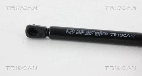 Gas Spring, rear window
