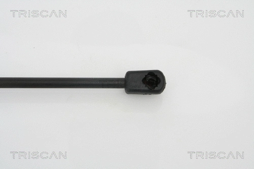 Gas Spring, boot/cargo area