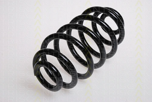 Suspension Spring (8750 1719)