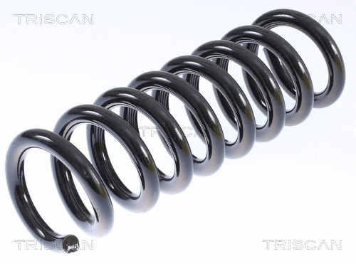 Suspension Spring (8750 23143)
