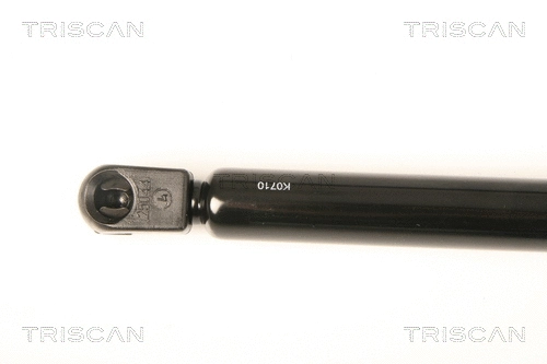 Gas Spring, boot/cargo area