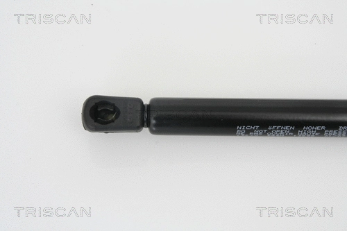 Gas Spring, boot/cargo area