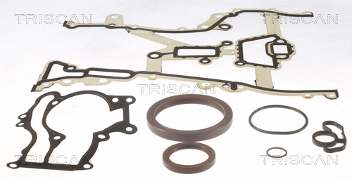 Gasket Kit, crankcase (595-5096)