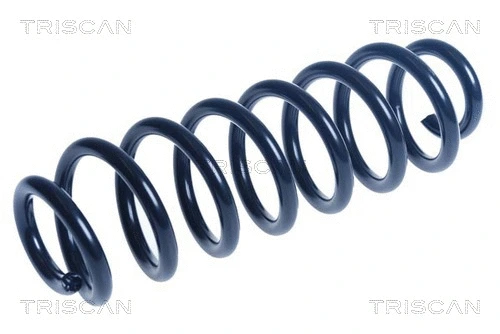 Suspension Spring (8750 29517)