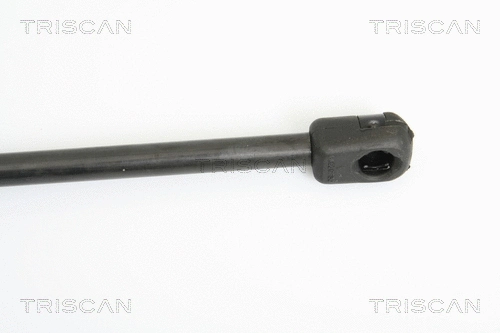 Gas Spring, boot/cargo area
