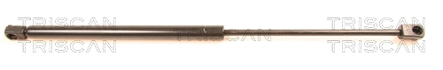 Gas Spring, boot/cargo area (8710 67205)