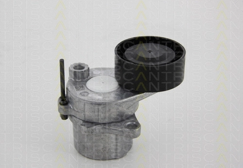 Belt Tensioner, V-ribbed belt (8641 231025)