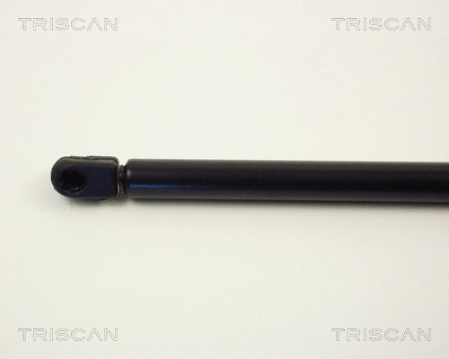 Gas Spring, boot/cargo area