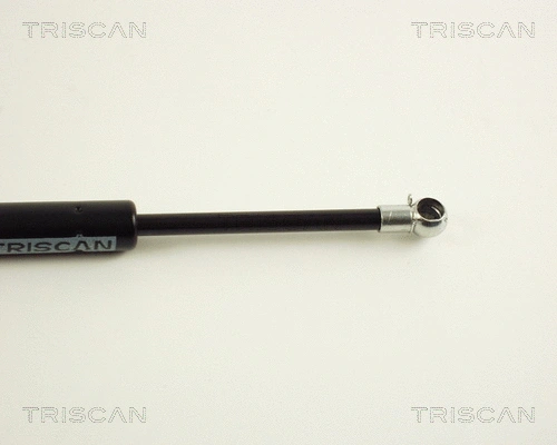 Gas Spring, boot/cargo area